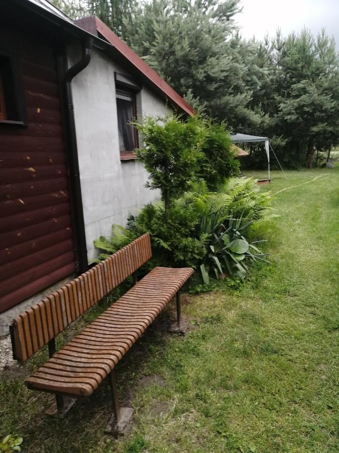 Noclegi Przy Kominku Miedzyles  Exterior photo