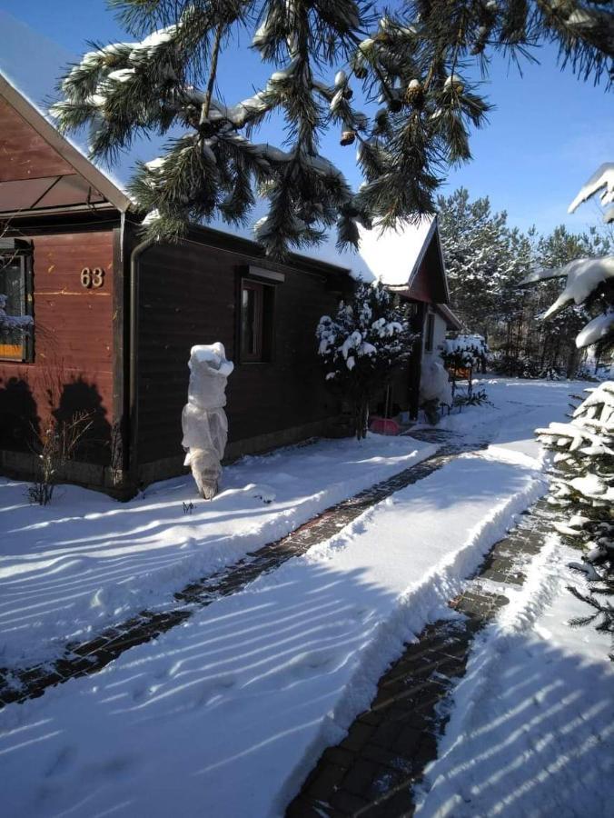 Noclegi Przy Kominku Miedzyles  Exterior photo