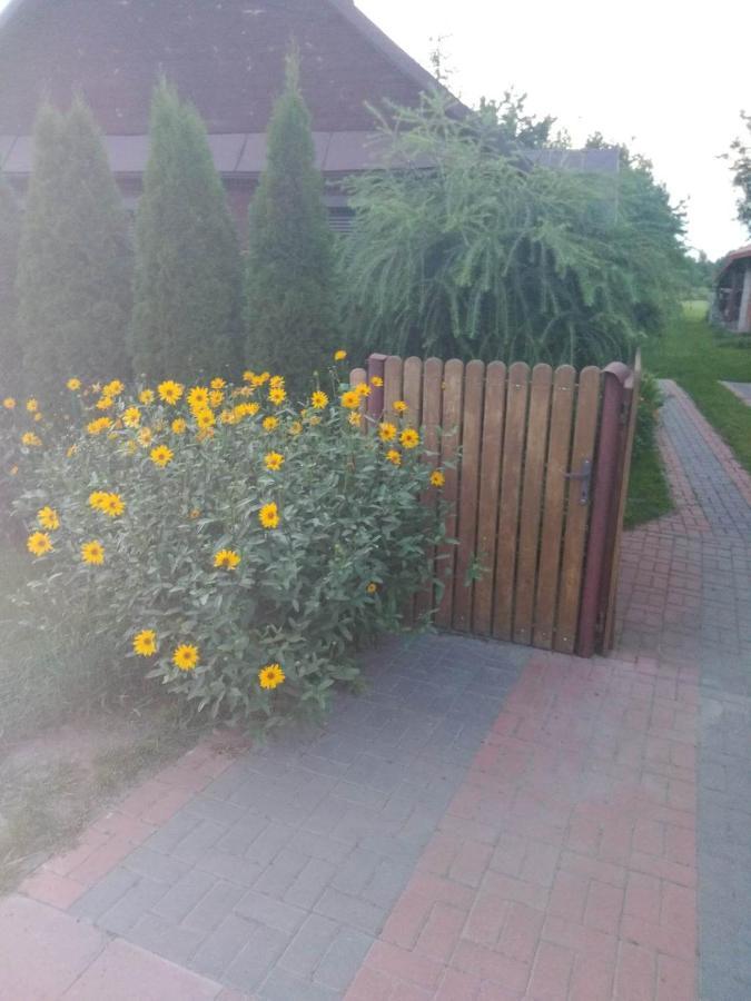 Noclegi Przy Kominku Miedzyles  Exterior photo
