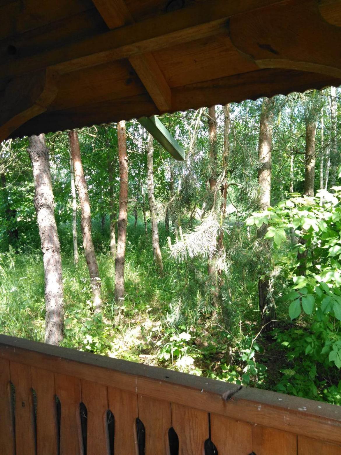 Noclegi Przy Kominku Miedzyles  Room photo